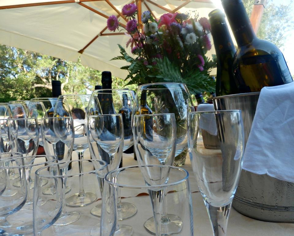 Hotel Tenuta Terre Di Bosco Oasi Di Relax Nel Cilento 3*