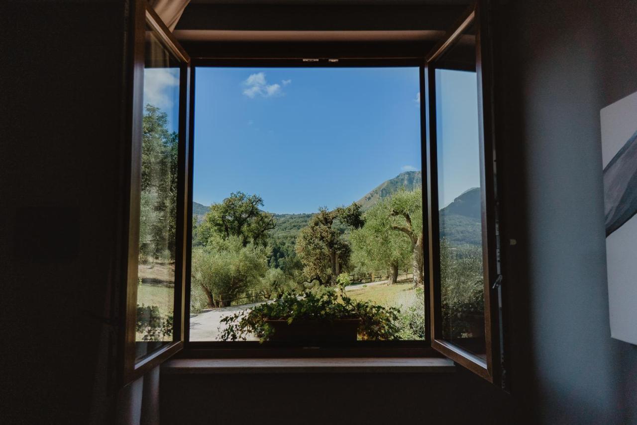 Hotel Tenuta Terre Di Bosco Oasi Di Relax Nel Cilento 3*